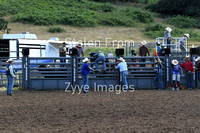 Bronc / Saddle Cow .. Sr, Jr, Pw