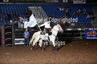 Rodeo Flyers