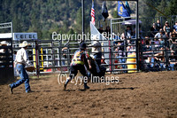 Steer Riding