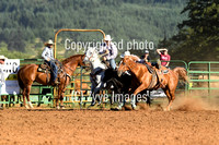 Steer Wrestling