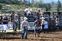 Bull Riding