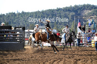 Saddle Bronc