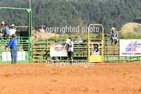 Bull Riding