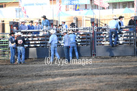 Saddle Bronc