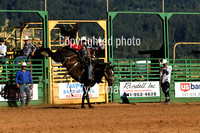 Saddle Bronc