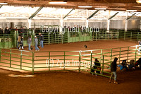 CCT Bullriding Clinic 1-2025