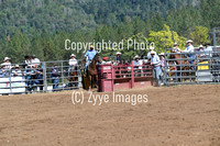 Team Roping