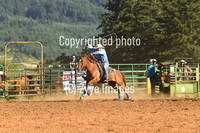 Team Roping